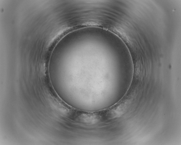 X0000089460351200706151439