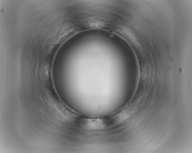 X0000089460363200706151440