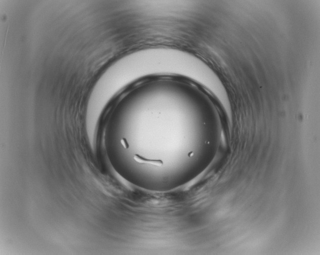 X0000089460364200706151440