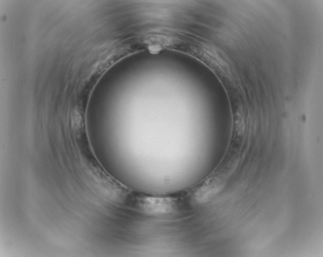 X0000089460371200706151440