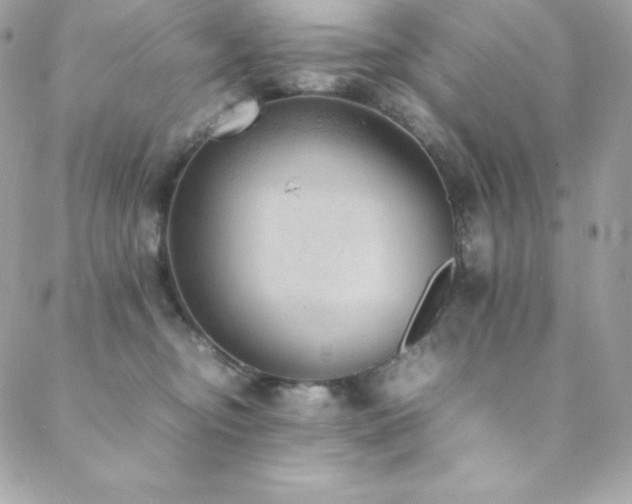 X0000089460374200706151440
