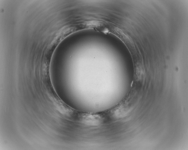 X0000089460379200706151440
