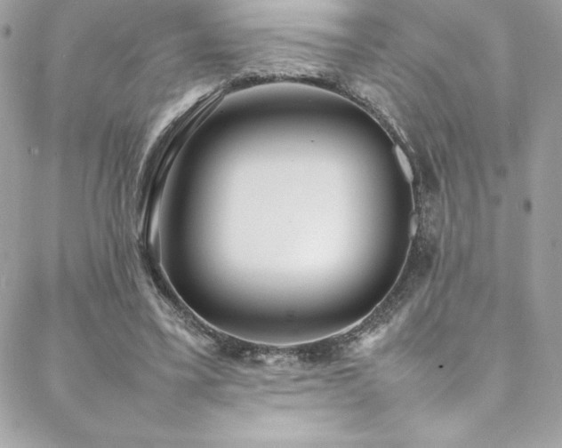 X0000089460395200706151439