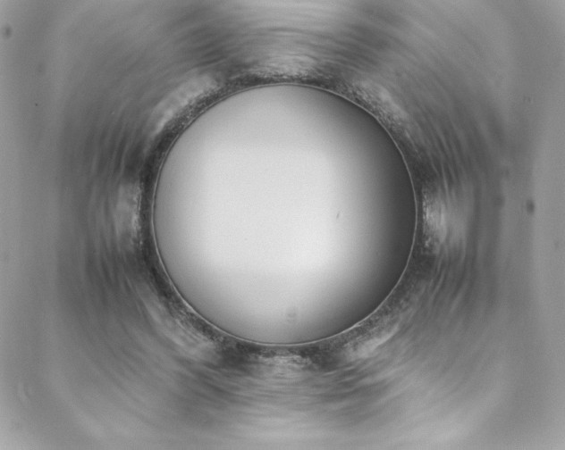 X0000089460396200706151439