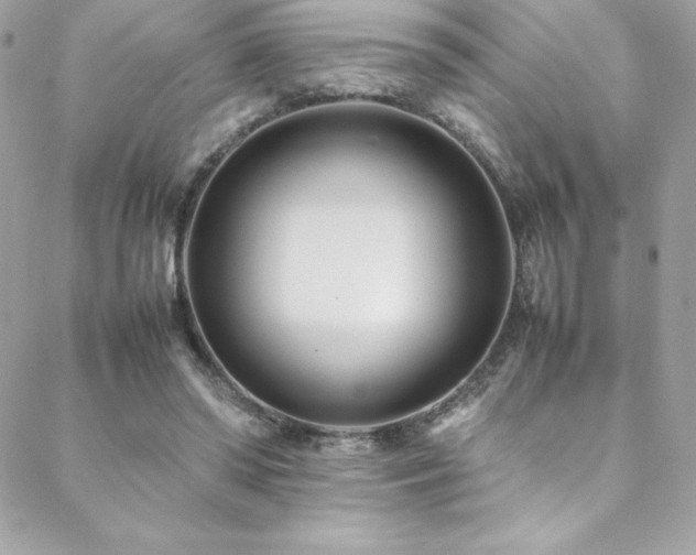 X0000089460398200706151439