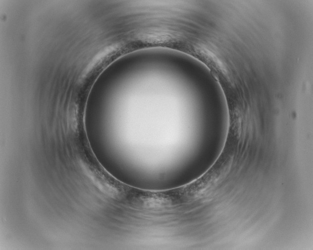 X0000089460400200706151439