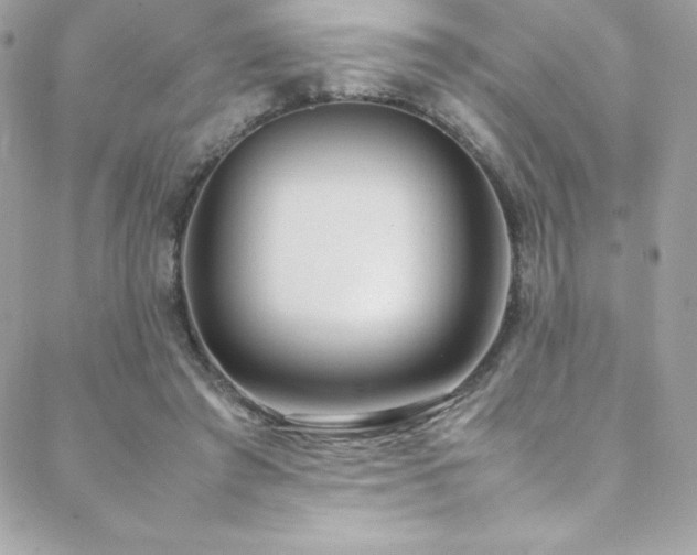X0000089460401200706151439