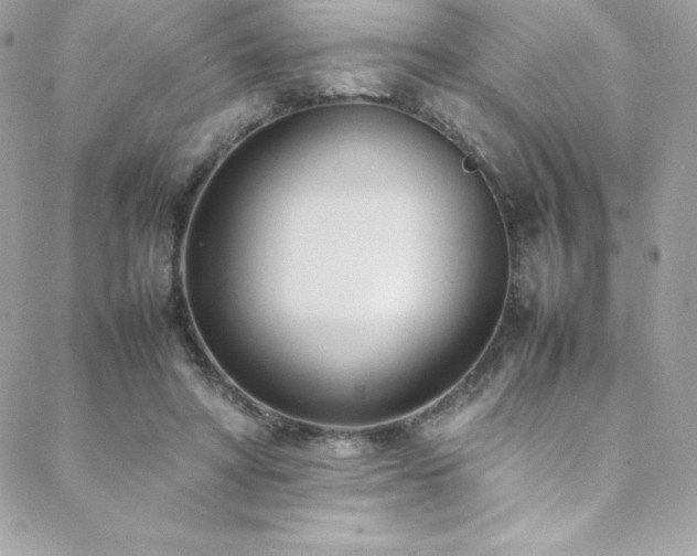 X0000089460402200706151439