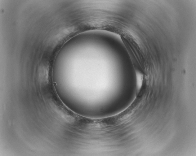 X0000089460404200706151439