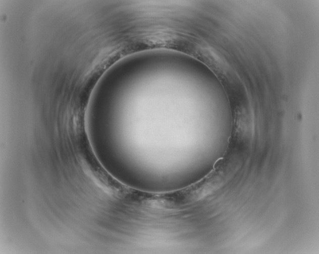 X0000089460408200706151439