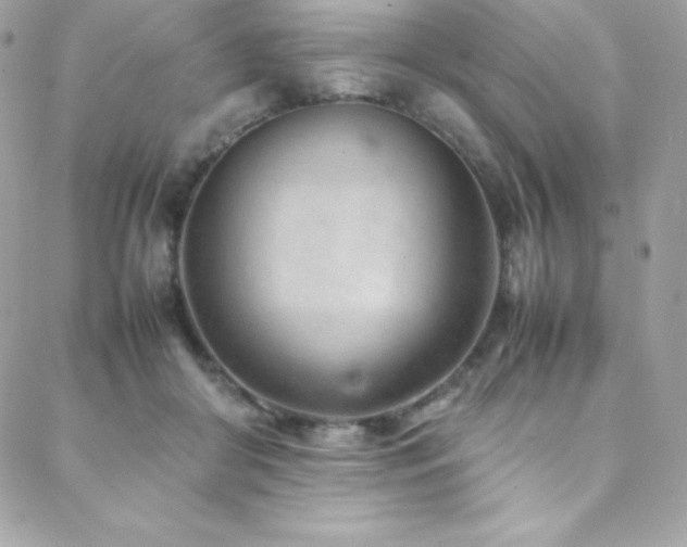 X0000089460410200706151439