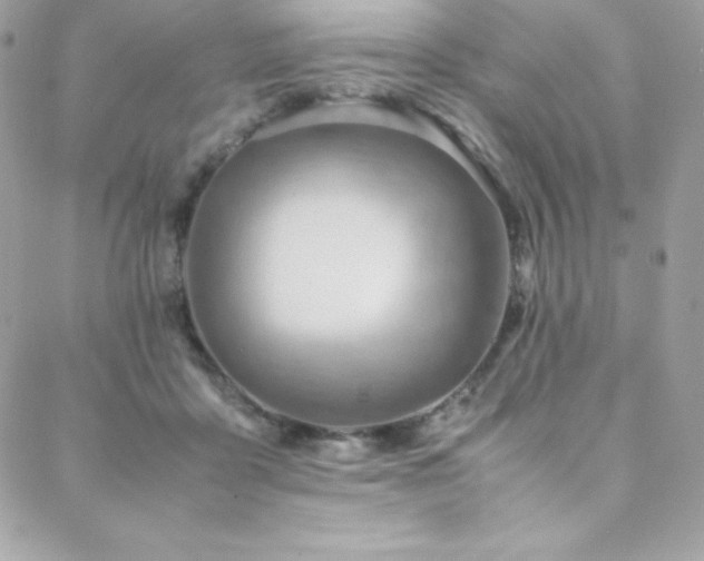 X0000089460411200706151439