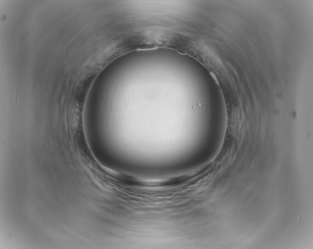 X0000089460413200706151439
