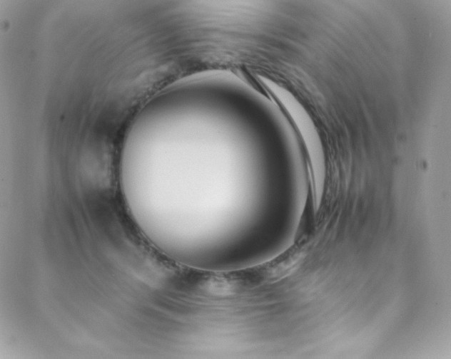 X0000089460416200706151439
