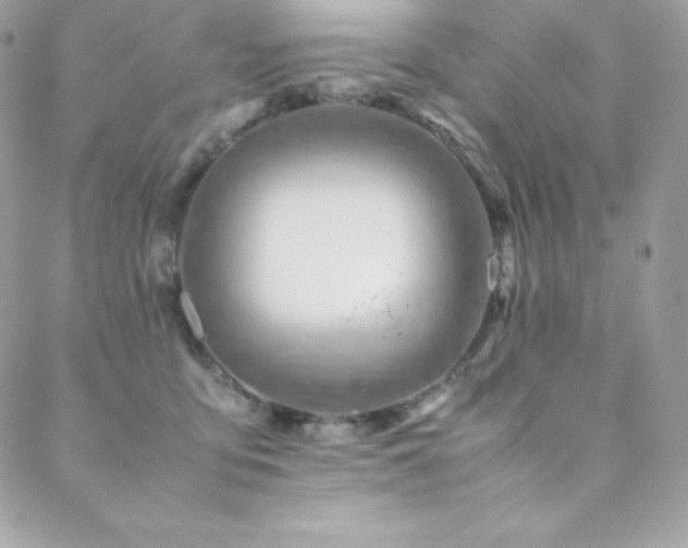 X0000089460419200706151439