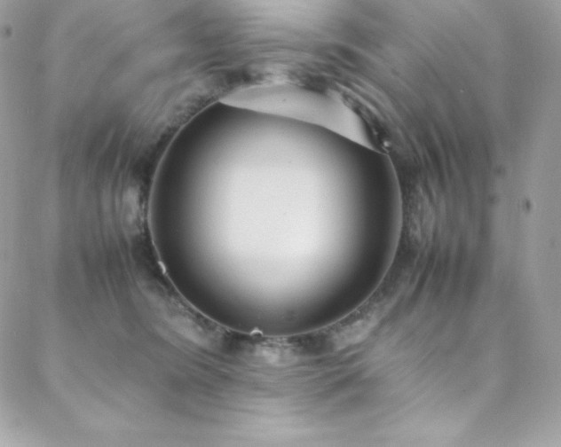 X0000089460420200706151439