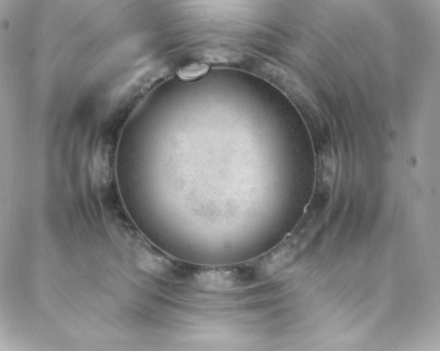 X0000089460422200706151438
