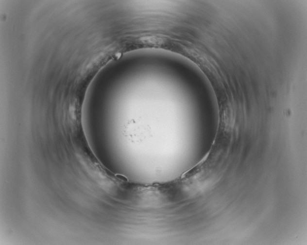 X0000089460424200706151438