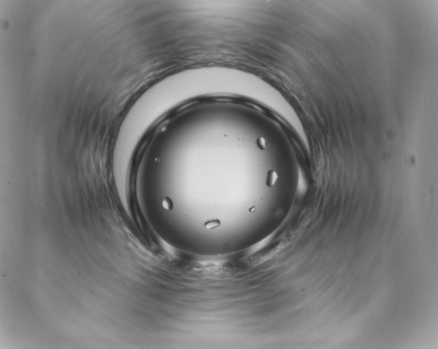 X0000089460428200706151438