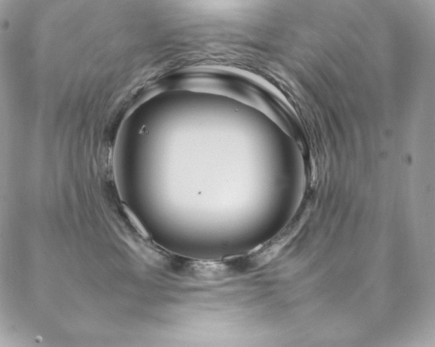 X0000089460429200706151438