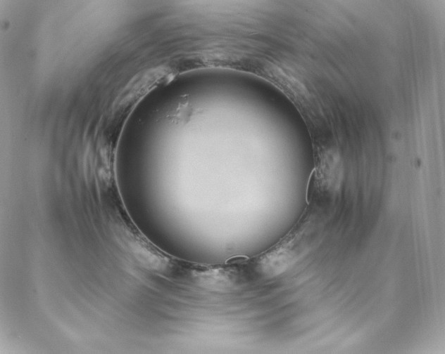 X0000089460430200706151438