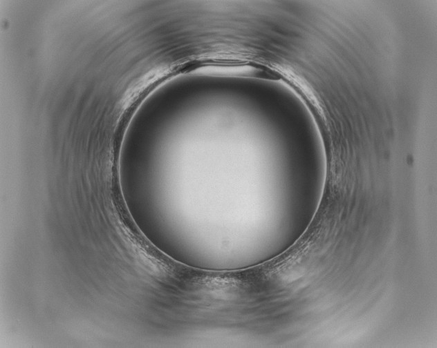 X0000089460437200706151438
