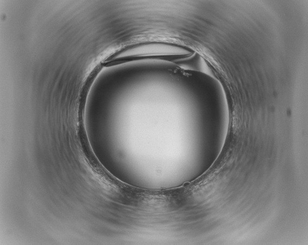 X0000089460438200706151438