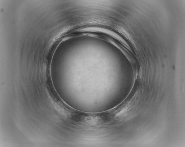 X0000089460444200706151438
