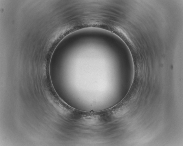 X0000089460447200706151438