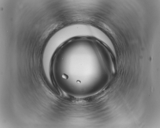 X0000089460452200706151438