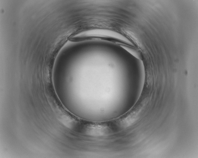 X0000089460453200706151438