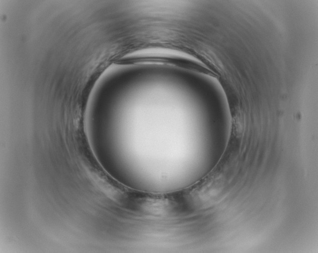 X0000089460458200706151438