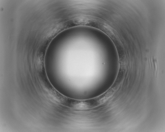 X0000089460460200706151438