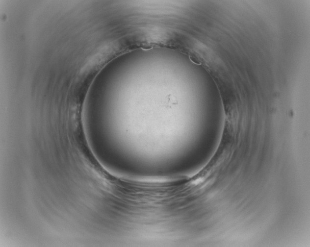 X0000089460462200706151438