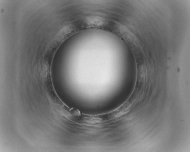X0000089460463200706151438