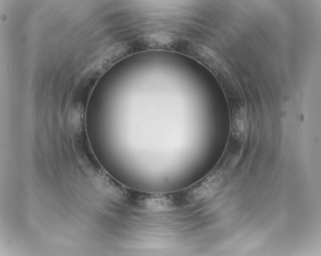 X0000089460468200706151438