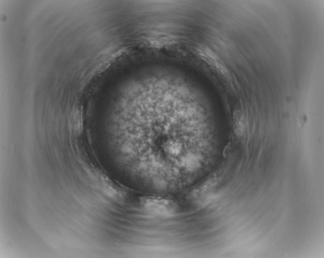 X0000089460471200706151438