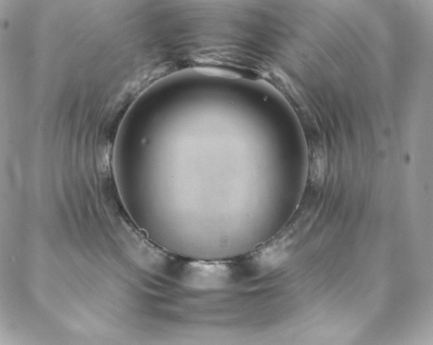 X0000089460477200706151438