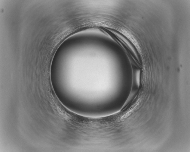 X0000089460481200706151438