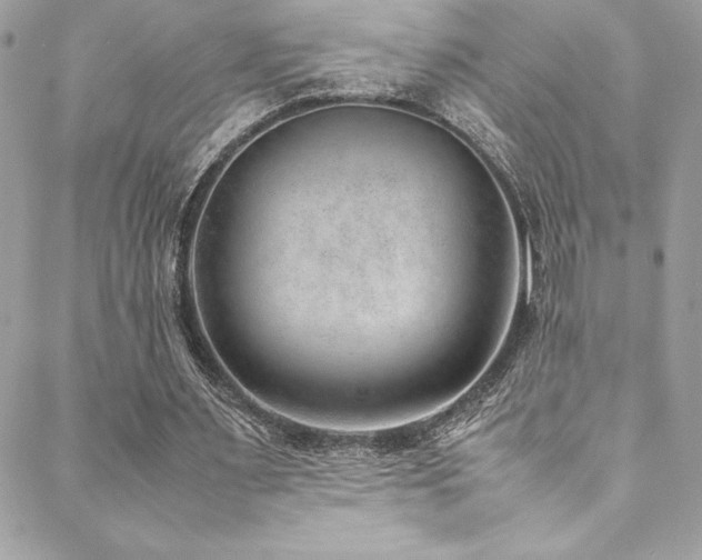 X0000089460483200706151437