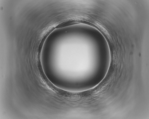 X0000089460485200706151437