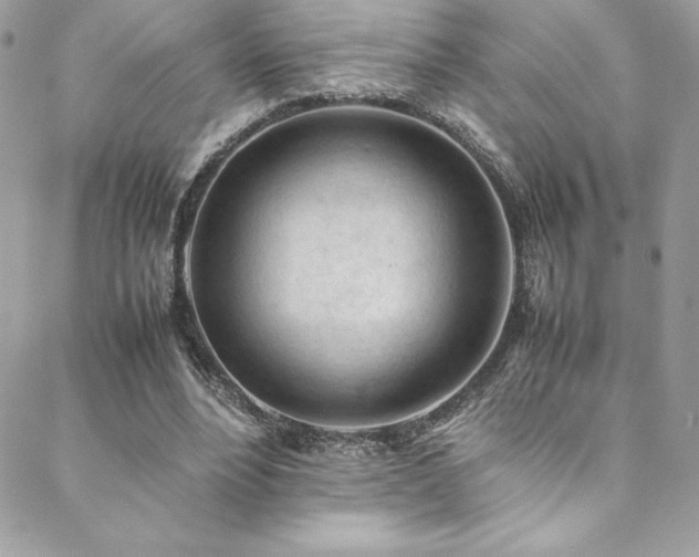 X0000089460488200706151437
