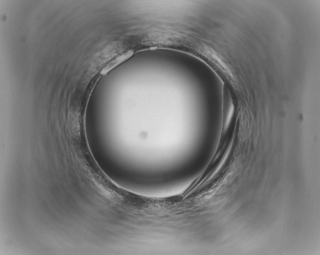 X0000089460489200706151437