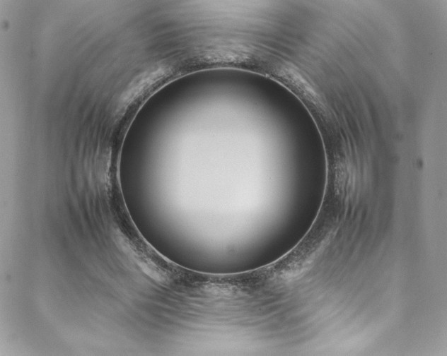 X0000089460490200706151437