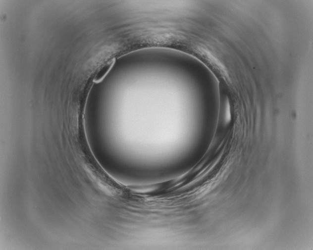 X0000089460493200706151437