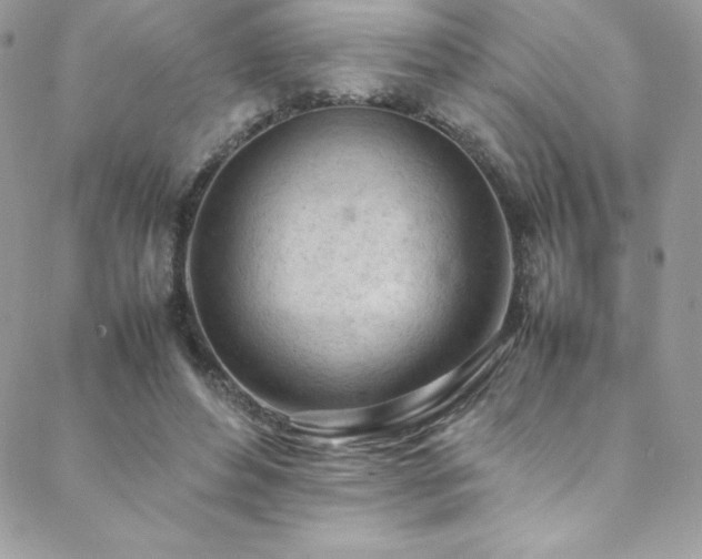 X0000089460496200706151437