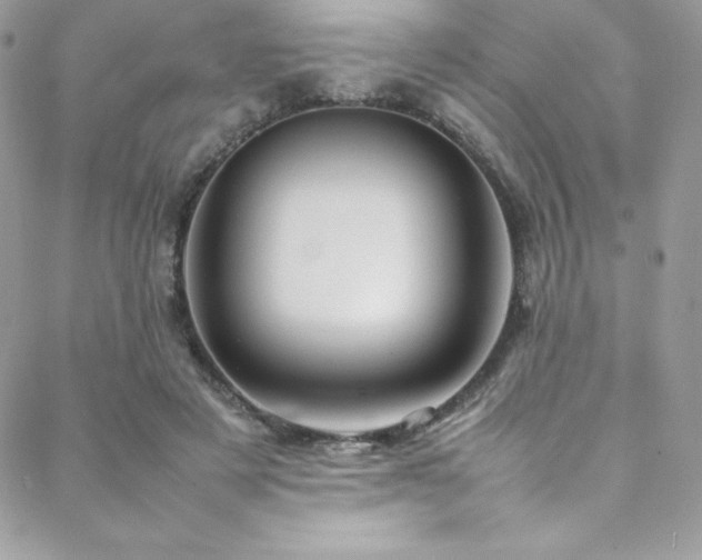 X0000089460497200706151437