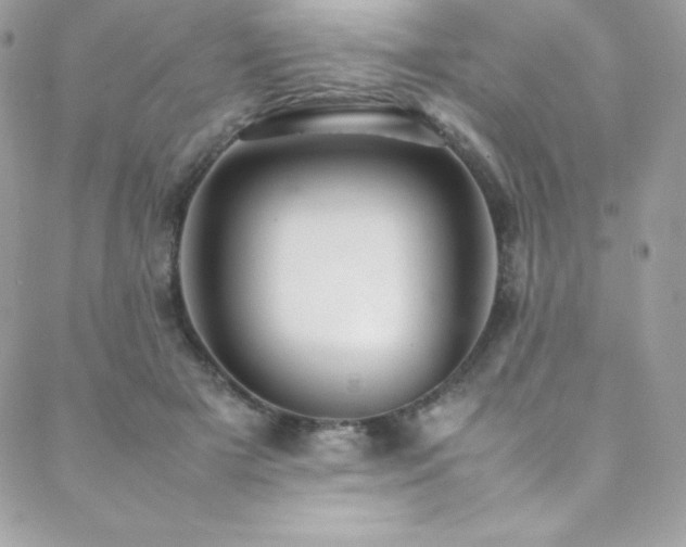 X0000089460505200706151437