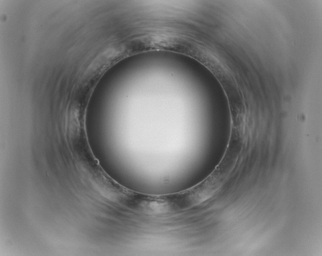 X0000089460506200706151437