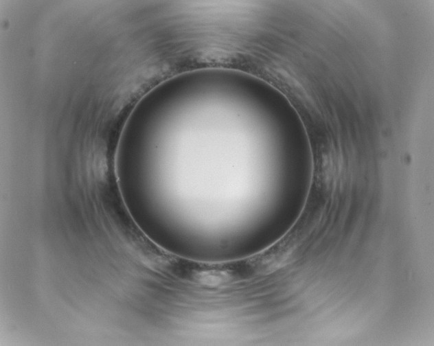 X0000089460508200706151437